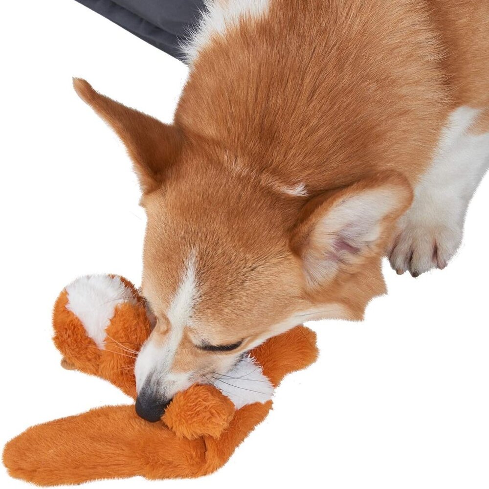 Plush Squeaky Toys for Medium and Large Dogs - No Stuffing, Durable Interactive - Picture 7 of 8